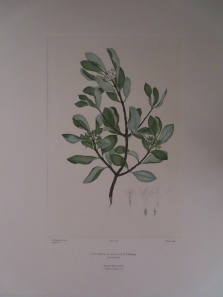 FDA-E.2916_7_16-2016 image FDA-E.2916_7_16-2016