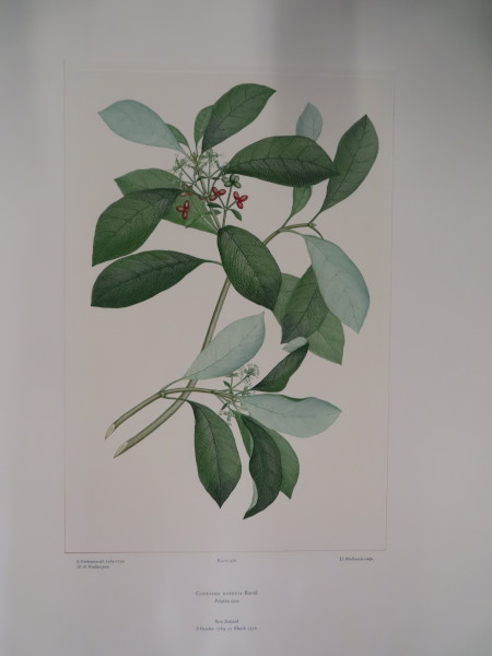 image FDA-E.2916_23_4-2016