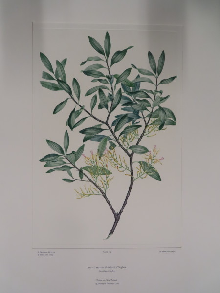 FDA-E.2916_26_10-2016-A image FDA-E.2916_26_10-2016-A