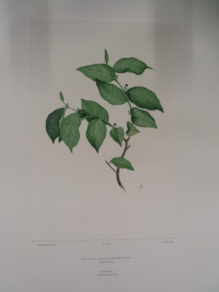 FDA-E.2916_31_4-2016-A image FDA-E.2916_31_4-2016-A
