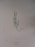 image FDA-E.2916_13_4-2016-A