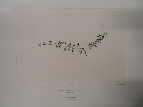 image FDA-E.2916_23_9-2016