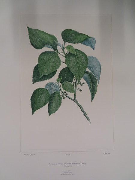 FDA-E.2916_31_9-2016-A image FDA-E.2916_31_9-2016-A