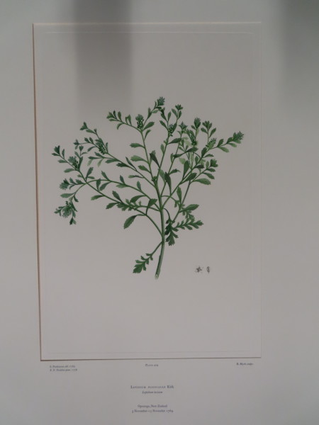 FDA-E.2916_20_11-2016-A image FDA-E.2916_20_11-2016-A