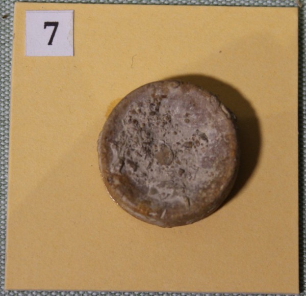 image NHM.468-2017