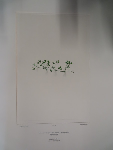 FDA-E.2916_22_13-2016-A image FDA-E.2916_22_13-2016-A