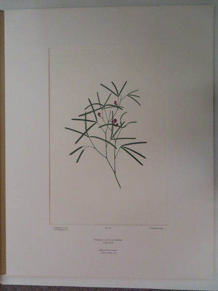 image FDA-E.2916_3_23-2016