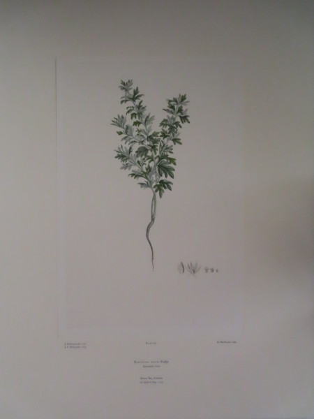 image FDA-E.2916_7_8-2016