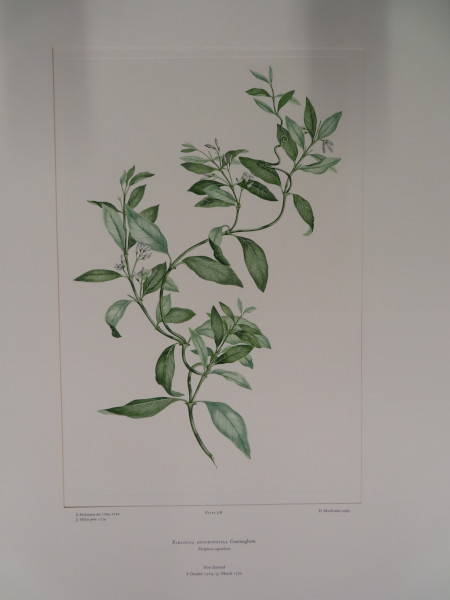 image FDA-E.2916_24_19-2016-A