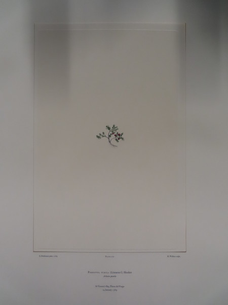 image FDA-E.2916_34_4-2016