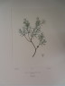 image FDA-E.2916_6_10-2016-A