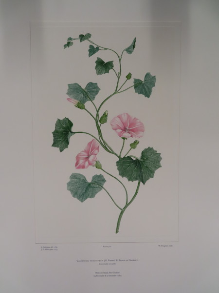 image FDA-E.2916_24_23-2016