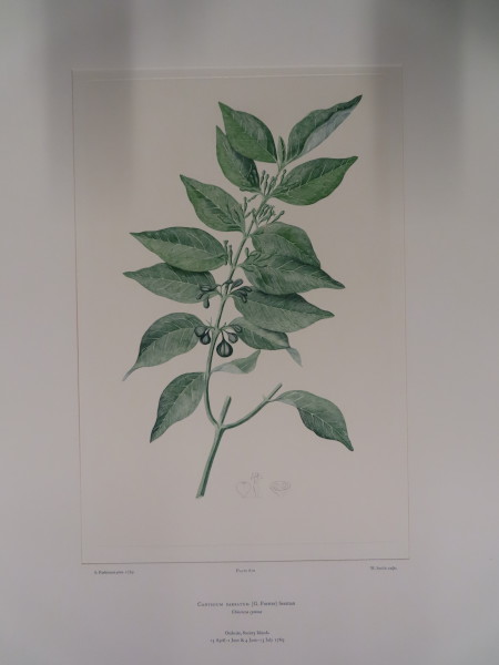 FDA-E.2916_29_7-2016 image FDA-E.2916_29_7-2016