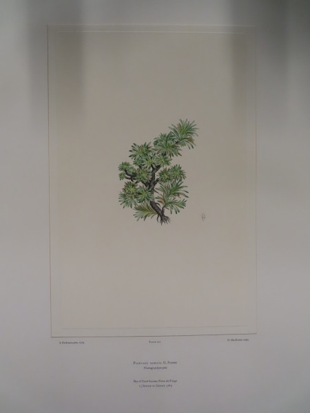 image FDA-E.2916_34_9-2016