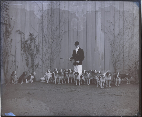 image PA-N.1206-2024