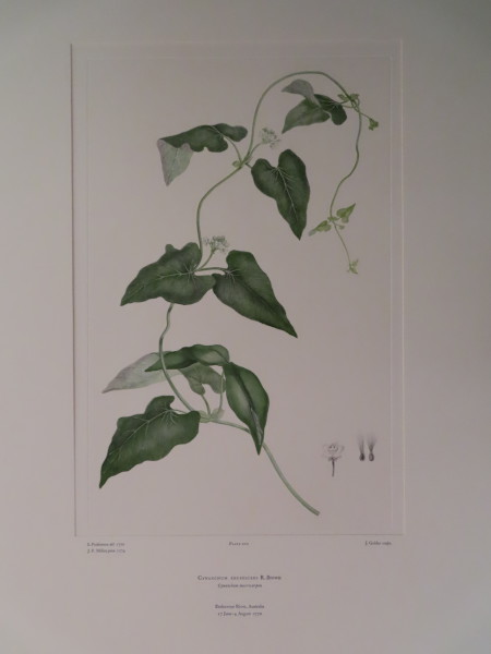 image FDA-E.2916_10_11-2016-A
