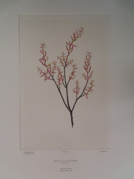image FDA-E.2916_12_16-2016