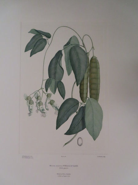 FDA-E.2916_4_12-2016-A image FDA-E.2916_4_12-2016-A