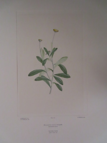 FDA-E.2916_8_15-2016-A image FDA-E.2916_8_15-2016-A