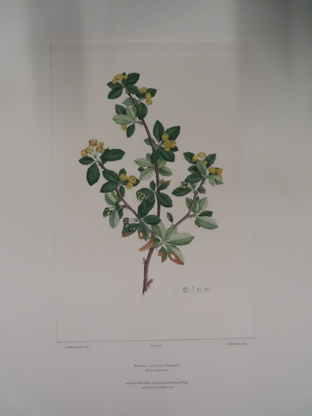 FDA-E.2916_32_6-2016 image FDA-E.2916_32_6-2016