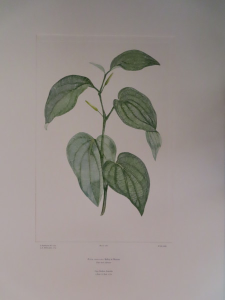 FDA-E.2916_12_22-2016-A image FDA-E.2916_12_22-2016-A