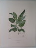 image FDA-E.2916_2_6-2016