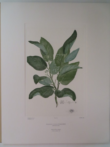 image FDA-E.2916_2_6-2016