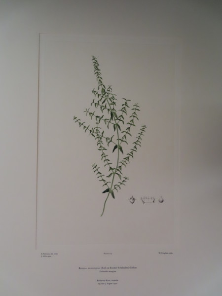 image FDA-E.2916_6_20-2016