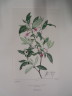 image FDA-E.2916_22_9-2016-A