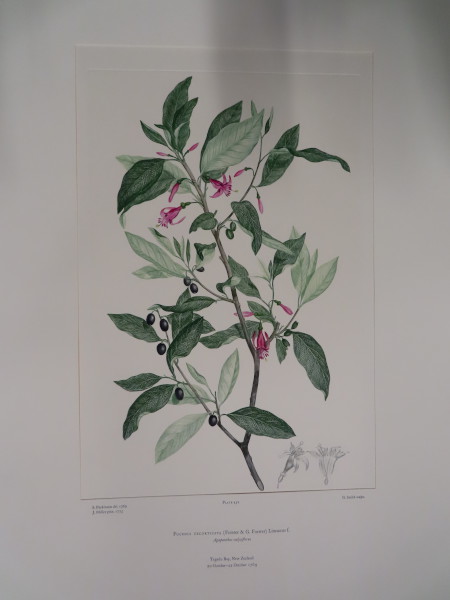 image FDA-E.2916_22_9-2016-A