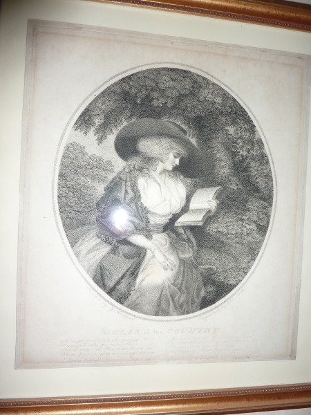 image FDA-E.287-2010