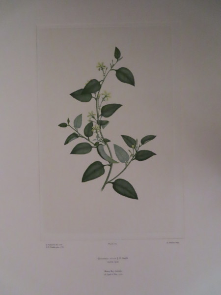 FDA-E.2916_8_25-2016-A image FDA-E.2916_8_25-2016-A