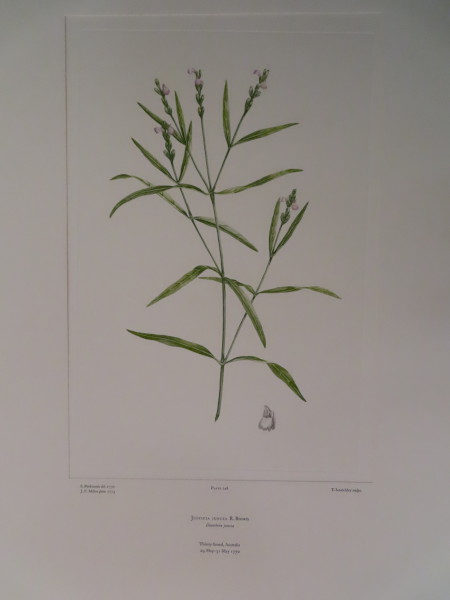 image FDA-E.2916_12_4-2016-A