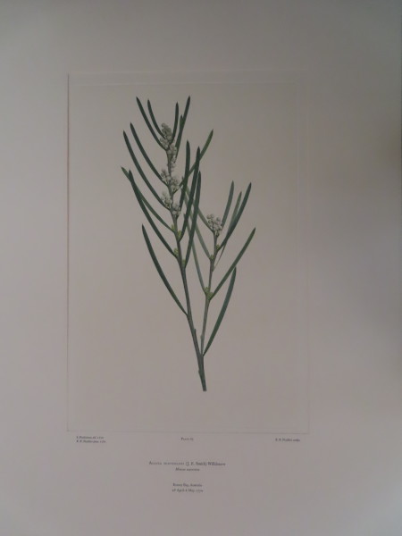 image FDA-E.2916_4_23-2016-A