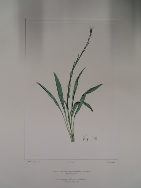 FDA-E.2916_33_16-2016 image FDA-E.2916_33_16-2016
