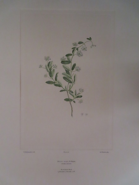 image FDA-E.2916_16_17-2016-A