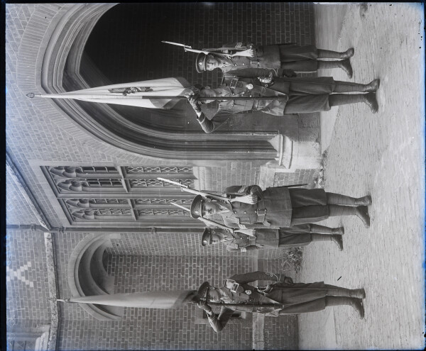 image PA-N.1355-2024
