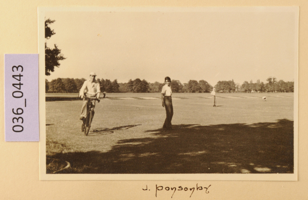 image PA-A.36_443-2012