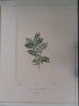 image FDA-E.2916_4_4-2016