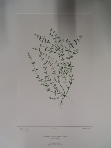 FDA-E.2916_21_18-2016-A image FDA-E.2916_21_18-2016-A
