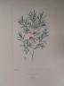 image FDA-E.2916_6_7-2016