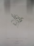 image FDA-E.2916_34_18-2016-A