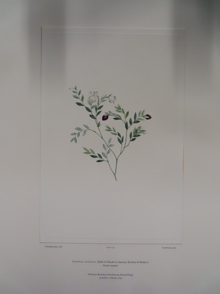 FDA-E.2916_34_18-2016-A image FDA-E.2916_34_18-2016-A