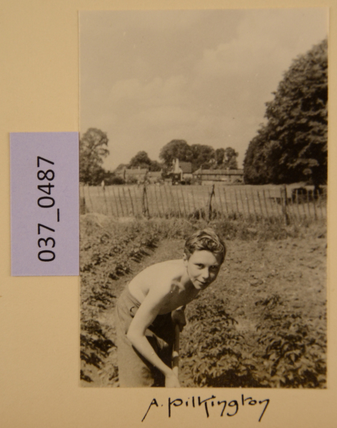 image PA-A.37_487-2012