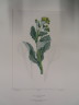 image FDA-E.2916_33_21-2016-A