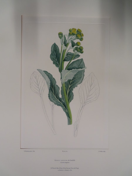 FDA-E.2916_33_21-2016-A image FDA-E.2916_33_21-2016-A