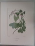 image FDA-E.2916_4_9-2016