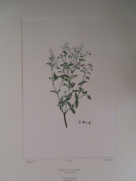 FDA-E.2916_7_12-2016-A image FDA-E.2916_7_12-2016-A