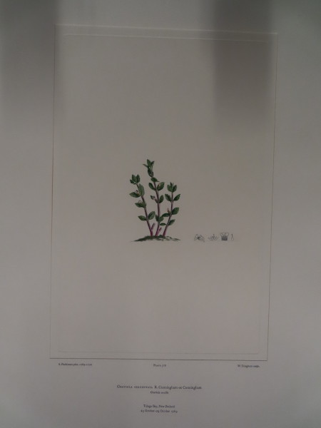 image FDA-E.2916_25_6-2016-A