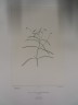 image FDA-E.2916_1_14-2016